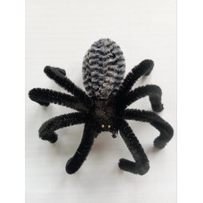 Паук чёрно-серый на присоске