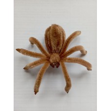 Паук светло-коричневый на присоске