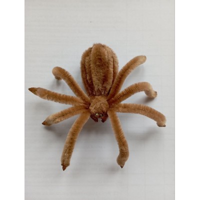 Паук светло-коричневый на присоске