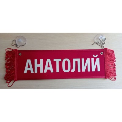 Вымпел " АНАТОЛИЙ + ПУСТОЙ" (35х10см) красный 08256