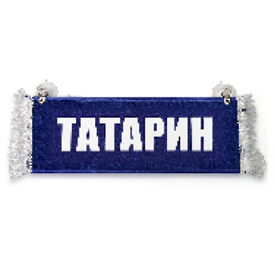 Вымпел "Пустой - ТАТАРИН"(11145)